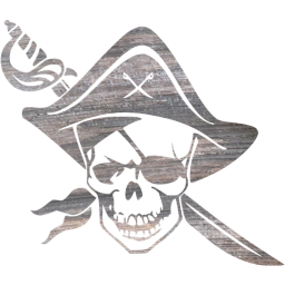 skull 73 icon