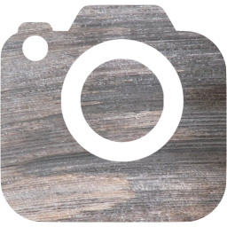 slr camera 2 icon