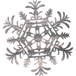 snowflake 25 icon