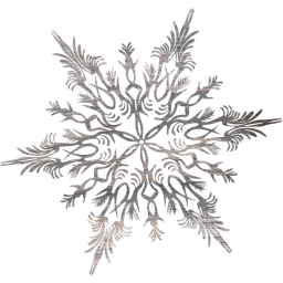 snowflake 41 icon
