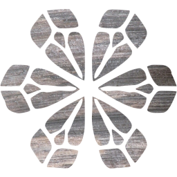 snowflake 9 icon
