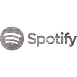 spotify 2 icon