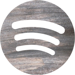 spotify icon