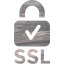 ssl badge 2