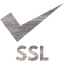 ssl badge 3