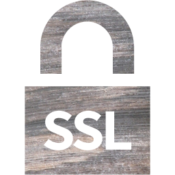 ssl badge 4 icon