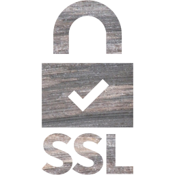ssl badge 5 icon