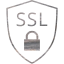 ssl badge