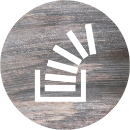 stackoverflow 4 icon