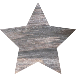 star 2 icon