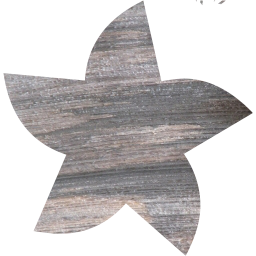 star 21 icon