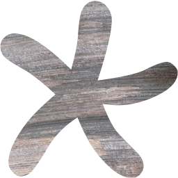 star 24 icon
