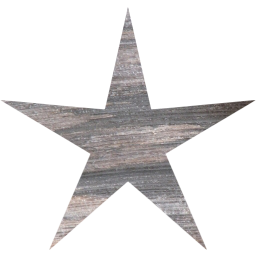 star 3 icon