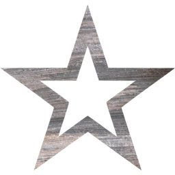 star 4 icon