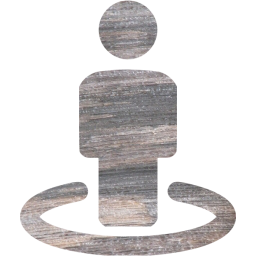 street view icon