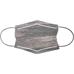 surgical mask icon