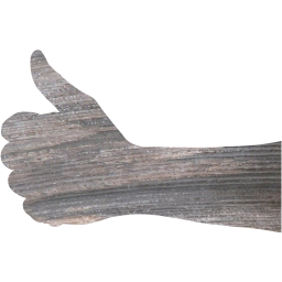thumbs up 2 icon