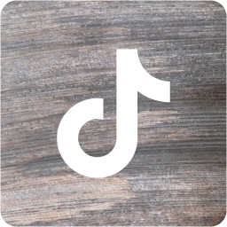 tiktok 2 icon
