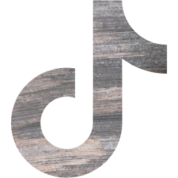 tiktok icon