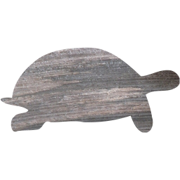 tortoise icon