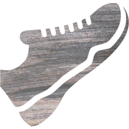 trainers icon