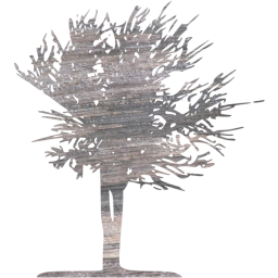 tree 15 icon