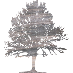 tree 24 icon