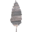 tree 3