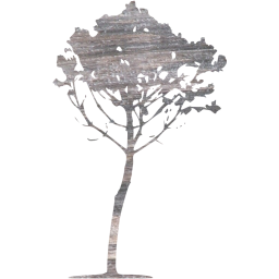 tree 34 icon