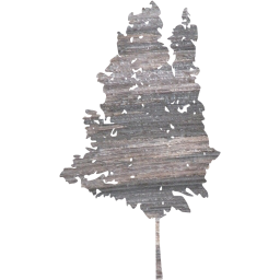 tree 35 icon