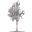 tree 42