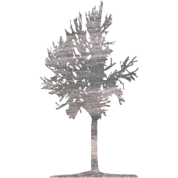 tree 42 icon
