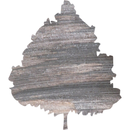 tree 47 icon