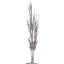 tree 5