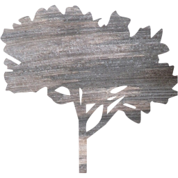 tree 60 icon