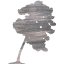 tree 65
