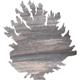 tree 66 icon