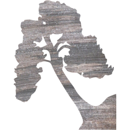 tree 67 icon