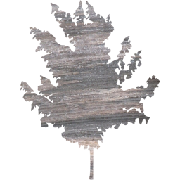 tree 71 icon