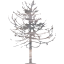 tree 79