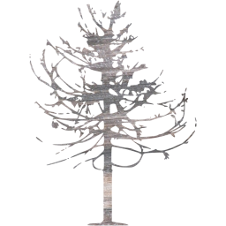 tree 79 icon