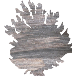 tree 8 icon