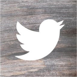 twitter 2 icon