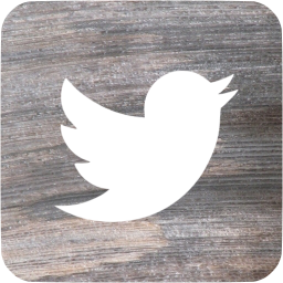 twitter 3 icon