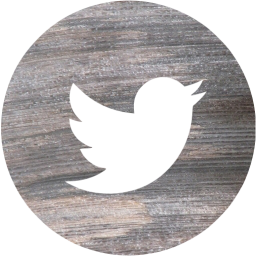 twitter 4 icon