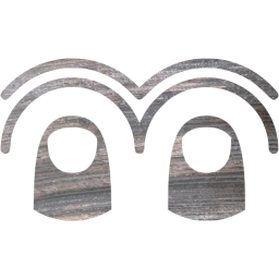 two finger double tap icon