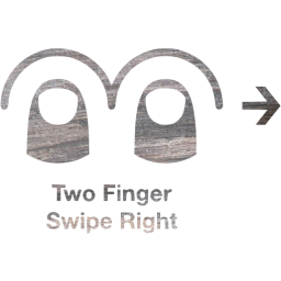 two finger swipe right 2 icon