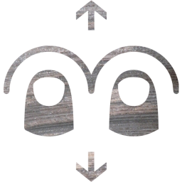 two finger vertical swipe icon