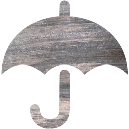 umbrella icon