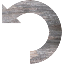 undo 2 icon